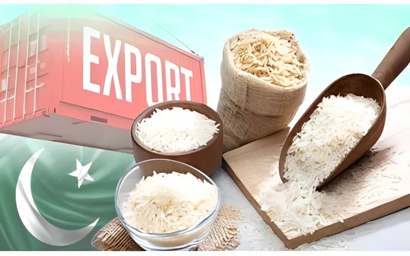 Rice exporters push for ‘DLTL’ extension to boost exports and cut exchange pressure