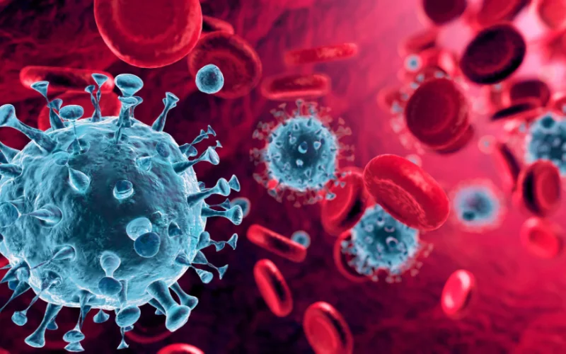 Oropouche virus cases likely vastly underestimated, studies show