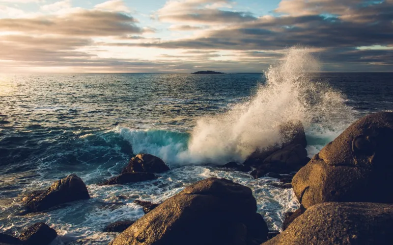 World Ocean Day marked today, focus on ocean health and recovery