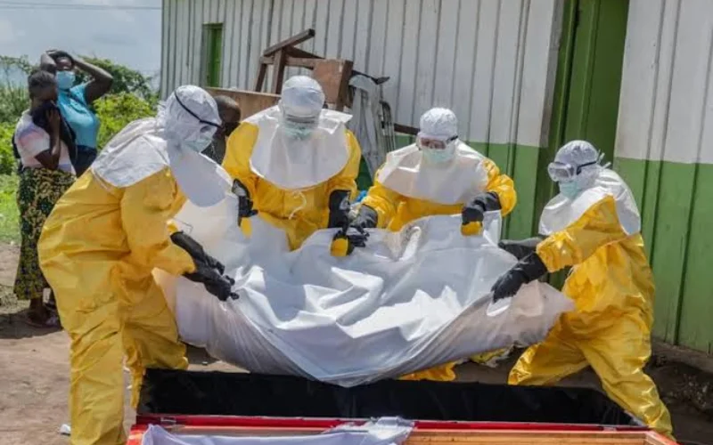 Ebola outbreak kills 600 in Eastern Congo