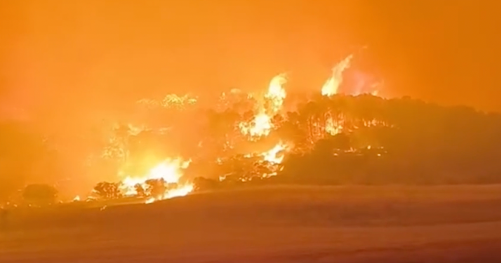 Heatwave drives major wildfires across North Africa | Newsfeed
