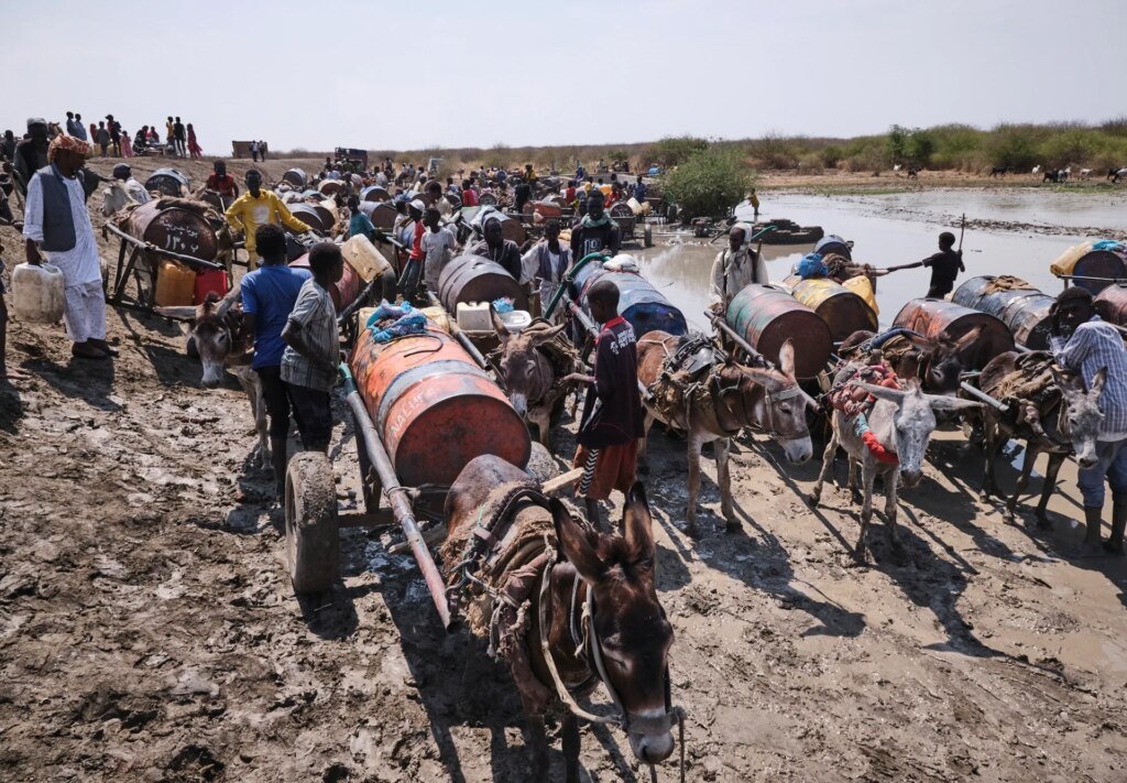 Armed raid on cattle camp kills at least 49 in South Sudan | Armed Groups News