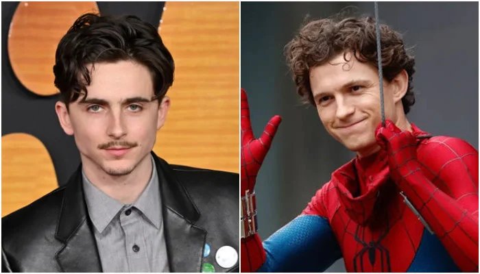 Tom Holland names Timothee Chalamet as his ‘Spider-Man’ replacement
