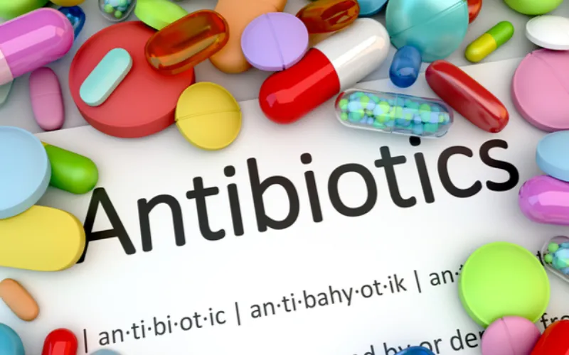 Antibiotics can disrupt gut health, but recovery is possible