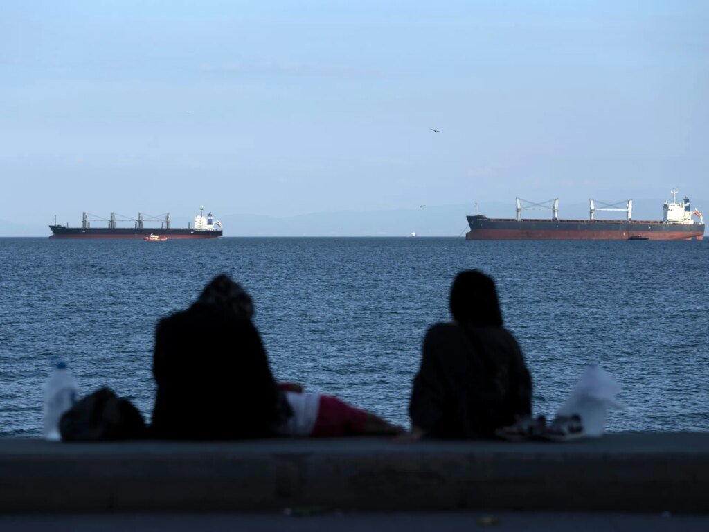 Turkiye launches search for cargo ship after vessels collide off Istanbul | News