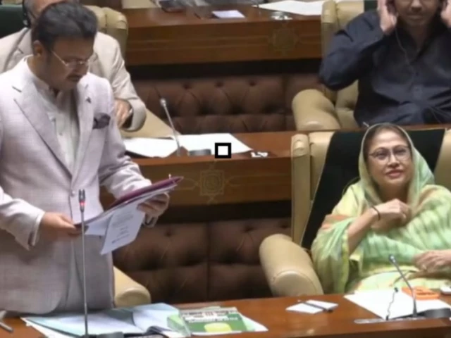 Sindh Assembly passes local govt law amendment amid opposition protest, sloganeering