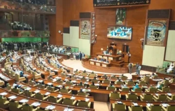 PPP pushes through mayor-administrator amendment