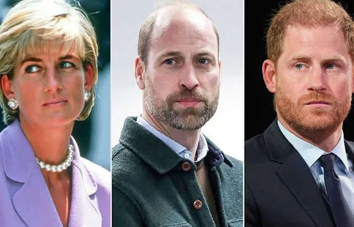 ‘Prince Harry sees Diana for making money’