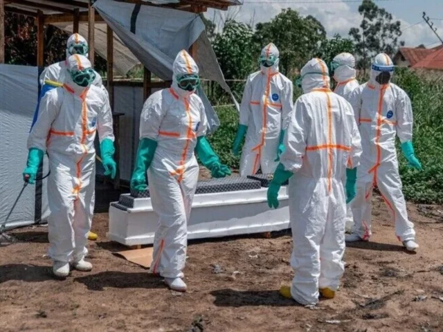 Ebola cases top 8,000 in DR Congo amid contact-tracing gaps