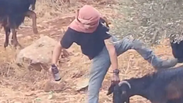 Israeli settlers abuse and reportedly poison goats in Palestinian village