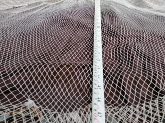Ghost nets: a deadly trap for marine life
