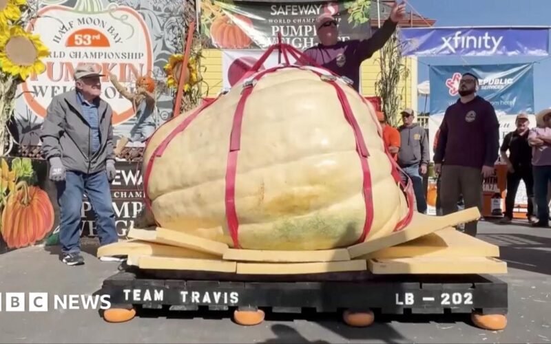 Watch: US man eyes pumpkin world record after fifth contest win