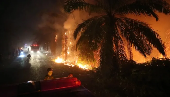 El Niño fuels Indonesia wildfires, destroying nearly 300 homes in Sumatra