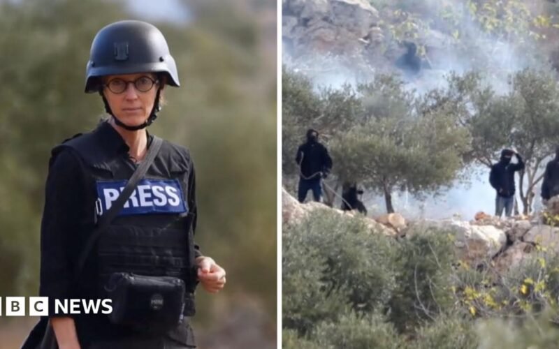Israeli settlers attack Palestinians in West Bank during olive harvest