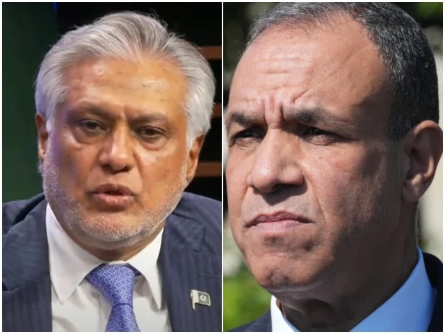 FM Dar, Egyptian counterpart condemn Houthi attacks, reaffirm solidarity with Saudi Arabia