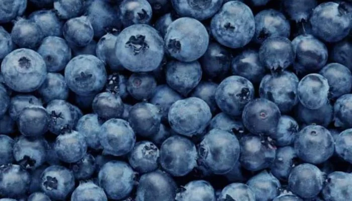 Study finds eating blueberries every day can surprisingly boost your mood