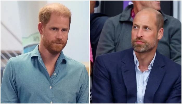 Prince Harry threatens Prince William, George’s future
