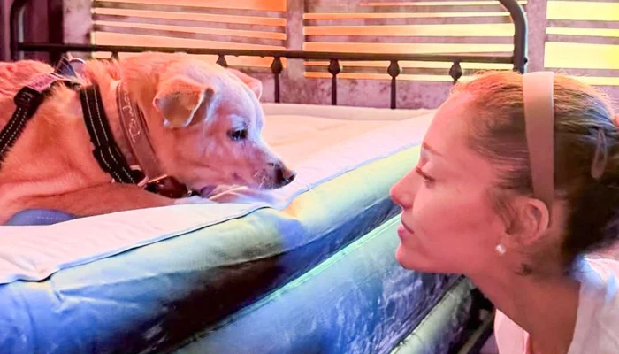 Ariana Grande mourns beloved dog Coco in touching tribute