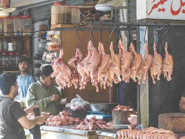 Broiler prices soar by Rs240 per kg in three weeks