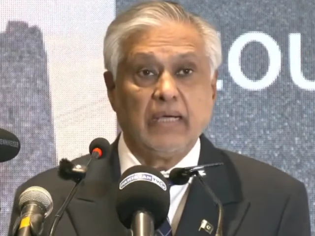At SCO, Dar proposes trade in local currency