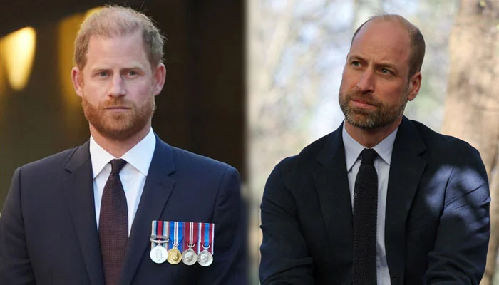 Why did Prince Harry’s spokesperson speak out?: Everything to know