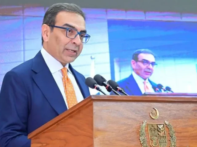 Adviser calls for private control of energy sector
