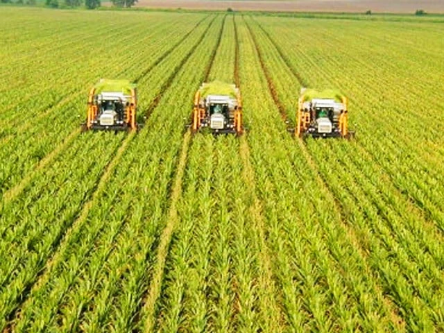 Rs166b allocated for irrigation projects