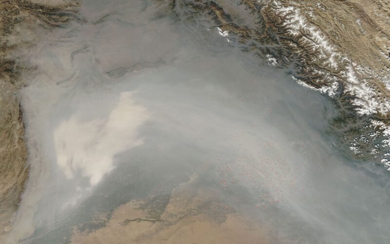 لاڑکانہ ، مختلف جرائم میں ملوث 20 ملزم گرفتار