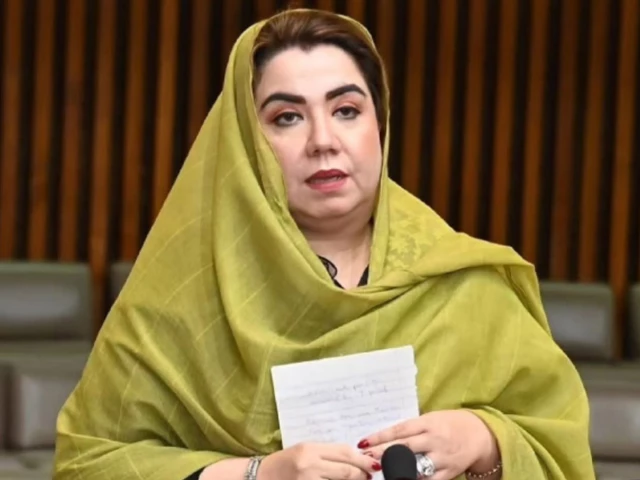 Rs18.46b irregularities reported in Economic Zones Company