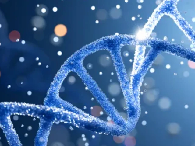 DNA mix-up prompts second exhumation in honour killing case