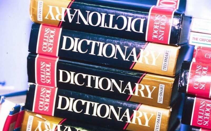 ‘Maxxing’ selected as Dictionary.com word of the year