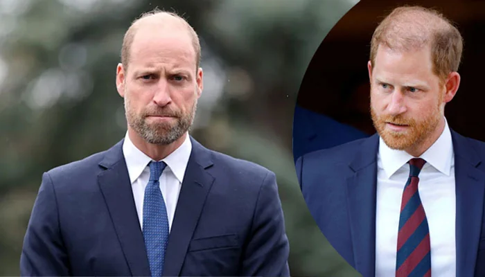 Prince Harry makes a ‘blunder’ with the Royal Family: ‘Does he thrive on drama?’