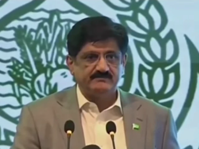 Sindh eyes Rs67b savings from reforms