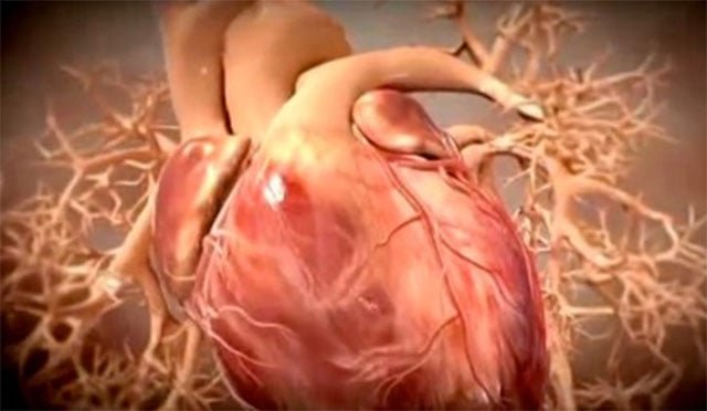 Man suffers fatal heart attack after bike impounded