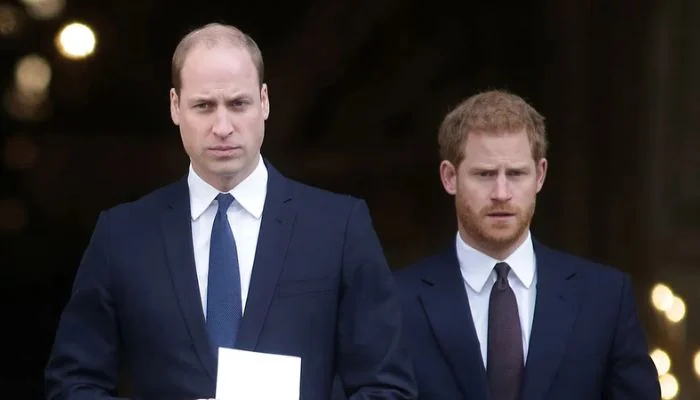 Prince Harry runs out of patience as Prince William crosses limit