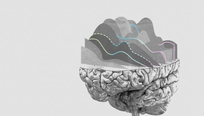 Neuralink brain implant trials reach 50,000 hours