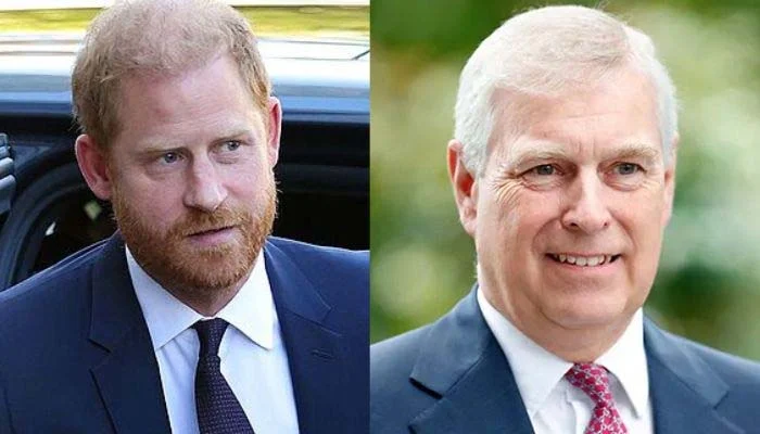 Prince Harry’s Sandringham flight takes centre stage following Andrew move
