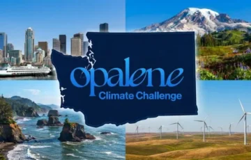 6 climate tech startups win funding as AI draws investors