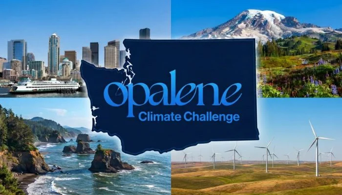 6 climate tech startups win funding as AI draws investors
