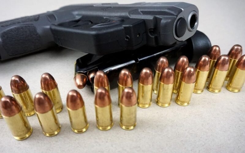 Woman shoots son before turning gun on herself