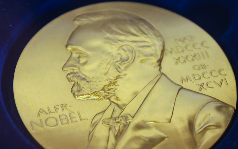 Chemistry Nobel awarded for solving mystery of life’s asymmetry
