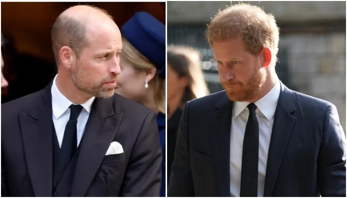 ‘Agonised’ Prince William, Kate Middleton implode on Harry: ‘It’s going to drive them further apart’
