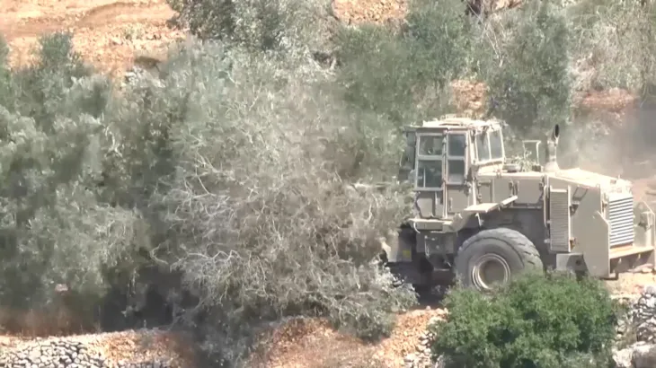 Israeli settlers systematically target the Palestinian olive harvest