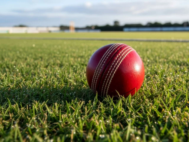 Shrinking grounds put grassroots cricket under pressure