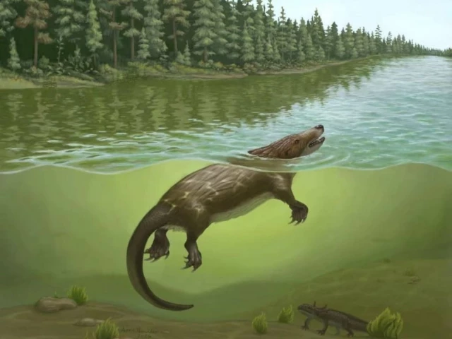 New large docodont fossil sheds light on Jurassic mammaliaform diversity